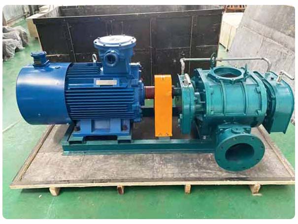 直聯傳動羅茨鼓風機 直聯傳動羅茨鼓風機