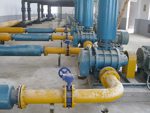 化工行業用羅茨風機沼氣輸送案例